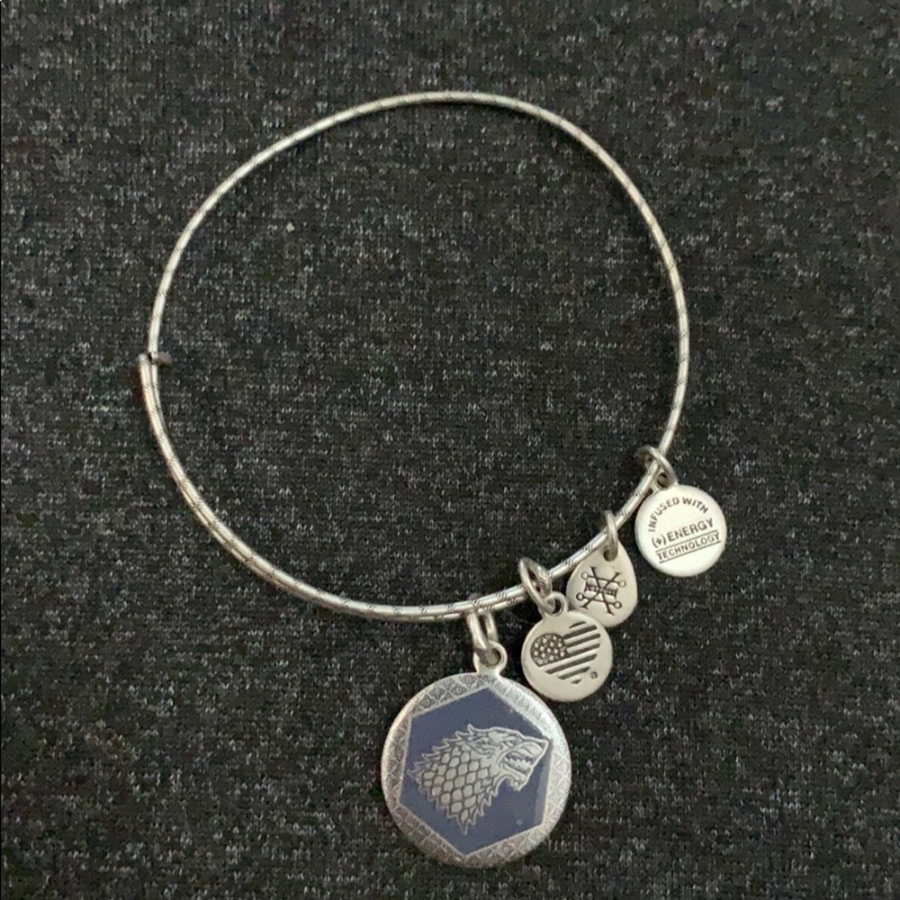 Alex and Ani Game Of Thrones Stark Bangle